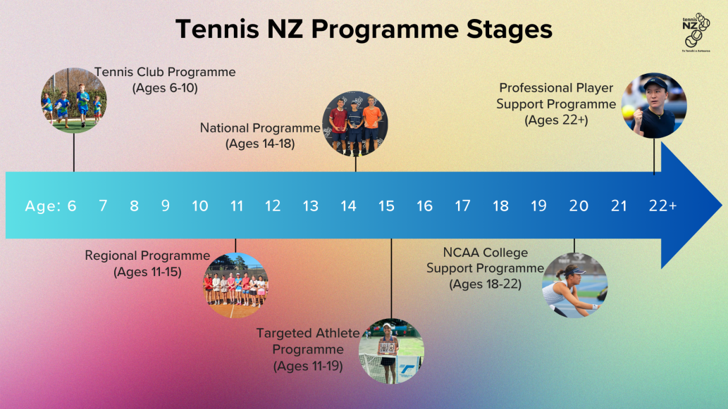 Infographic option 2