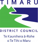 TDC LOGO TEREO RGB